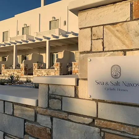 Sea And Salt Naxos 1 Apartment *