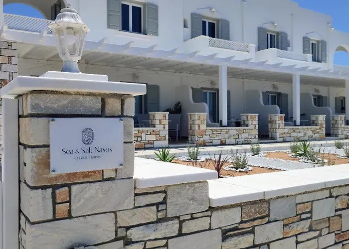 Sea And Salt Naxos 1 Apartment Kastrákion