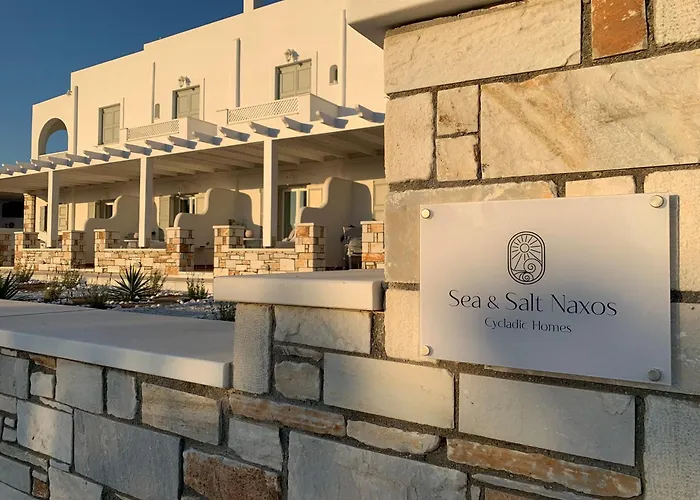 Sea And Salt Naxos 1 Apartment *