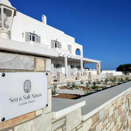 Апартаменты Sea And Salt Naxos 1